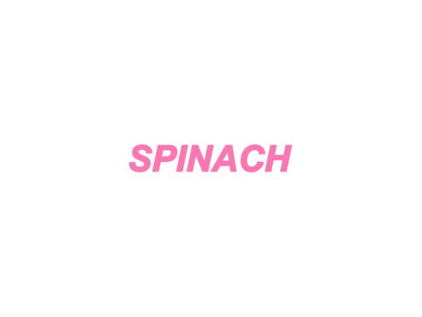 静岡ガールズバー|Spinach
